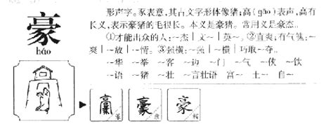 豪字五行|豪字的五行属性是什么